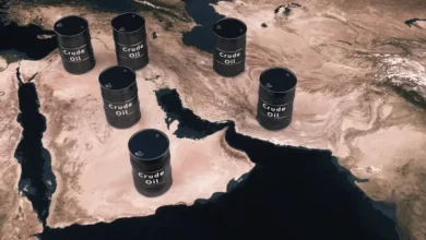 معهد البترول الأميركي يرفض فرض رسوم عبور في مضيق هرمز