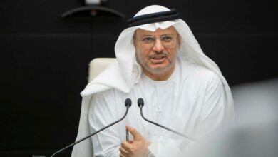 أنور قرقاش، مستشار رئيس الإمارات
