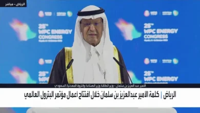 وزير الطاقة ووزير الصناعة والثروة المعدنية السعودي، الأمير عبد العزيز بن سلمان