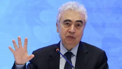 فاتح بيرول، مدير وكالة الطاقة الدولية